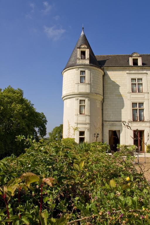 Chateau De Chissay, Hotel De Charme Pres De Chenonceau Et Le Zoo De Beauval Ngoại thất bức ảnh